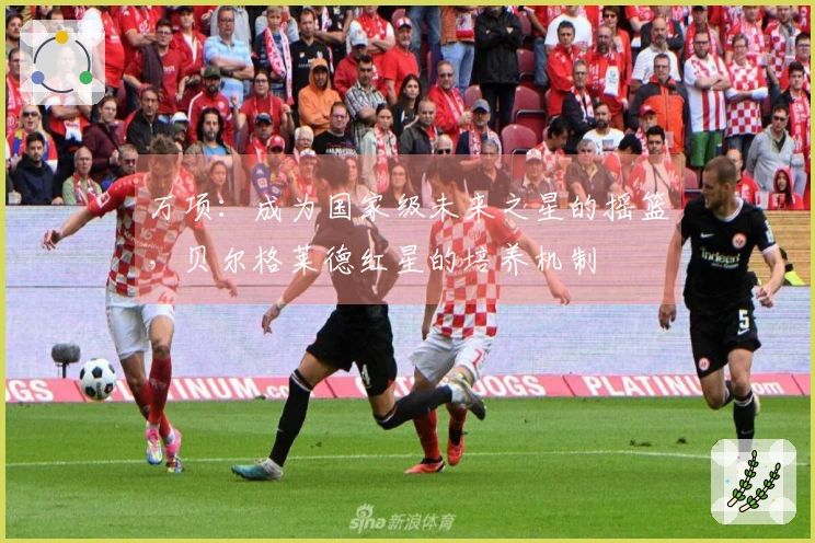 万项：成为国家级未来之星的摇篮，贝尔格莱德红星的培养机制