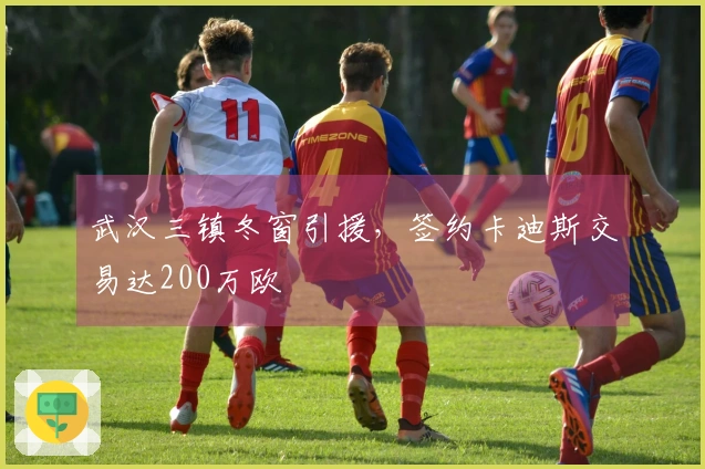 武汉三镇冬窗引援，签约卡迪斯交易达200万欧