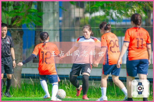 王占山同志辞世